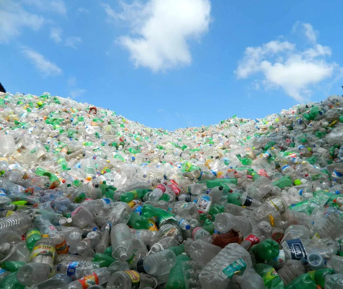 Close-up of washed recycled plastic flakes and granules produced at the GreenLoop facility